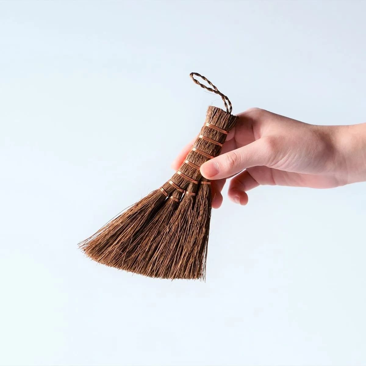 盆栽掃把